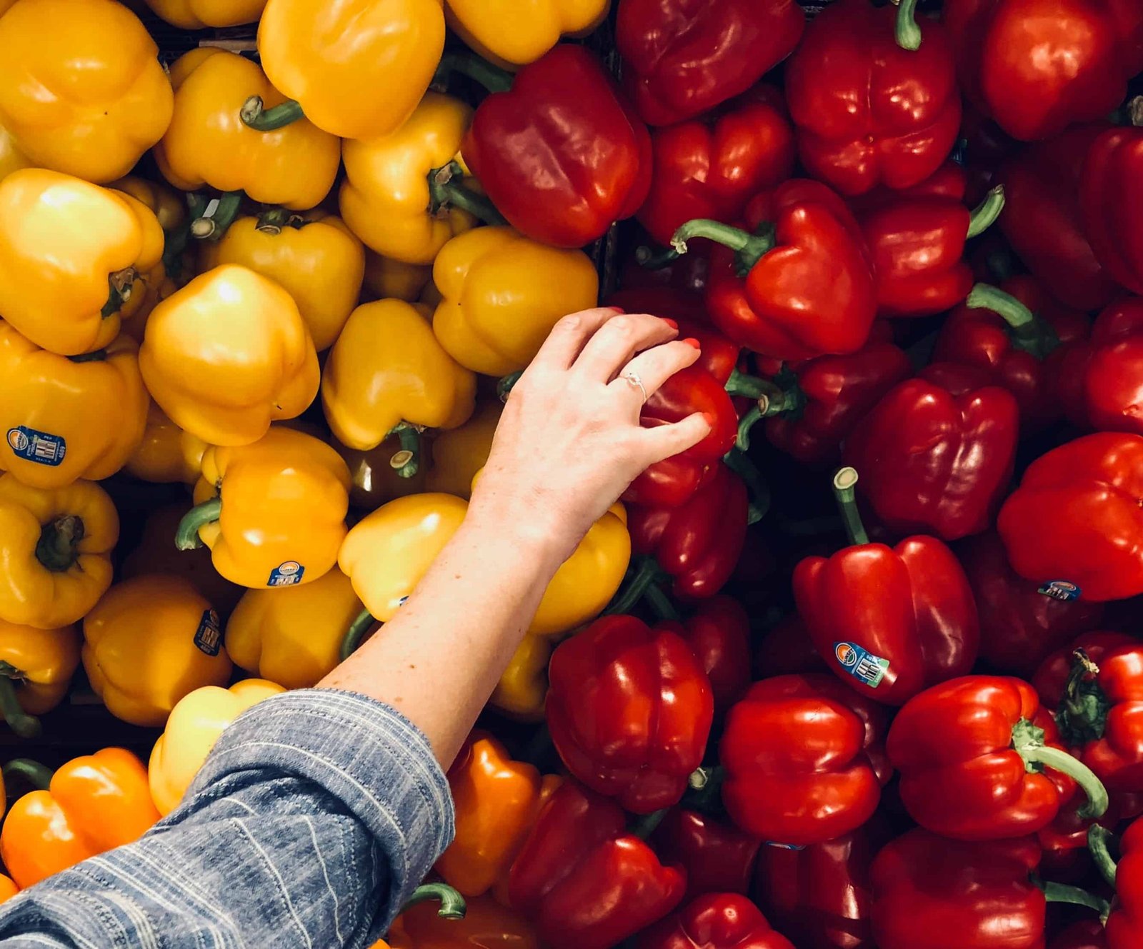 Tomato - Image 2